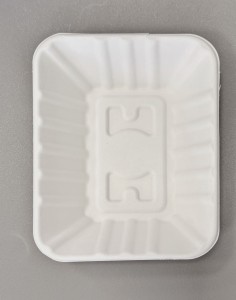 Tacka papierowa z trzciny cukrowej [50/op] V73.00 176x132x30 794