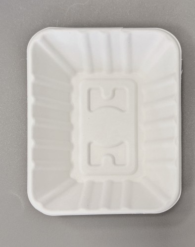 WhatsApp Image 2026-04-14 at 12.50.34 (1).jpeg