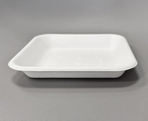 WhatsApp Image 2026-04-14 at 12.50.34 (2).jpeg